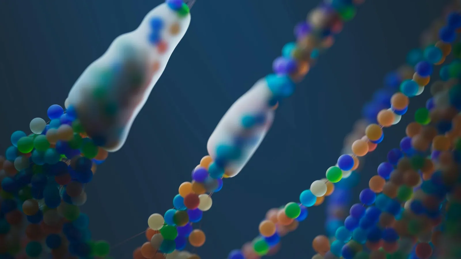 Complete Guide to HSC Biology Module 8 - Non-Infectious Disease and Disorders